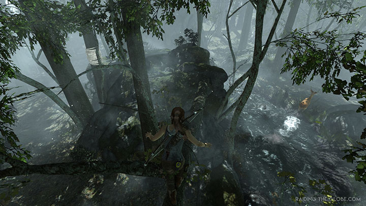 Tomb Raider screenshot 1